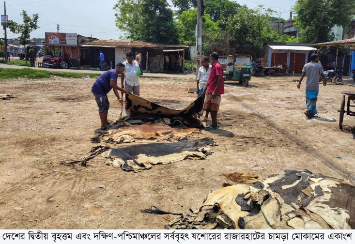 এবারও পুঁজি সংকটে বিপাকে যশোরের চামড়া ব্যবসায়ীরা